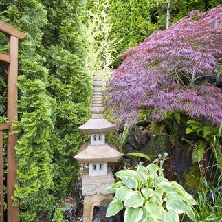 Tradičné japonské rastliny pre Zenovú záhradu