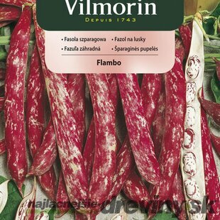Vilmorin CLASSIC Fazuľa záhradná FLAMBO skorá 30 g