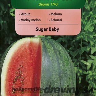 Vilmorin CLASSIC Melón SUGAR BABY - skorý 1 g