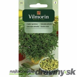 Vilmorin CLASSIC Saturejka záhradná 1 g